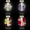 Perfume Trial Kit Pack of 10 (5ml each)