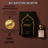 Gravity Unisex Attar - 6ml