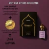 Magnetite Unisex Attar - 6ml